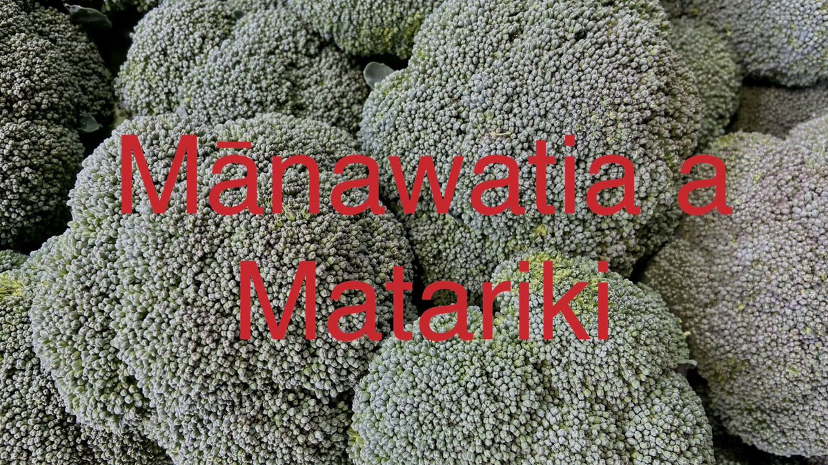 United Fresh NZ Inc. tweet media