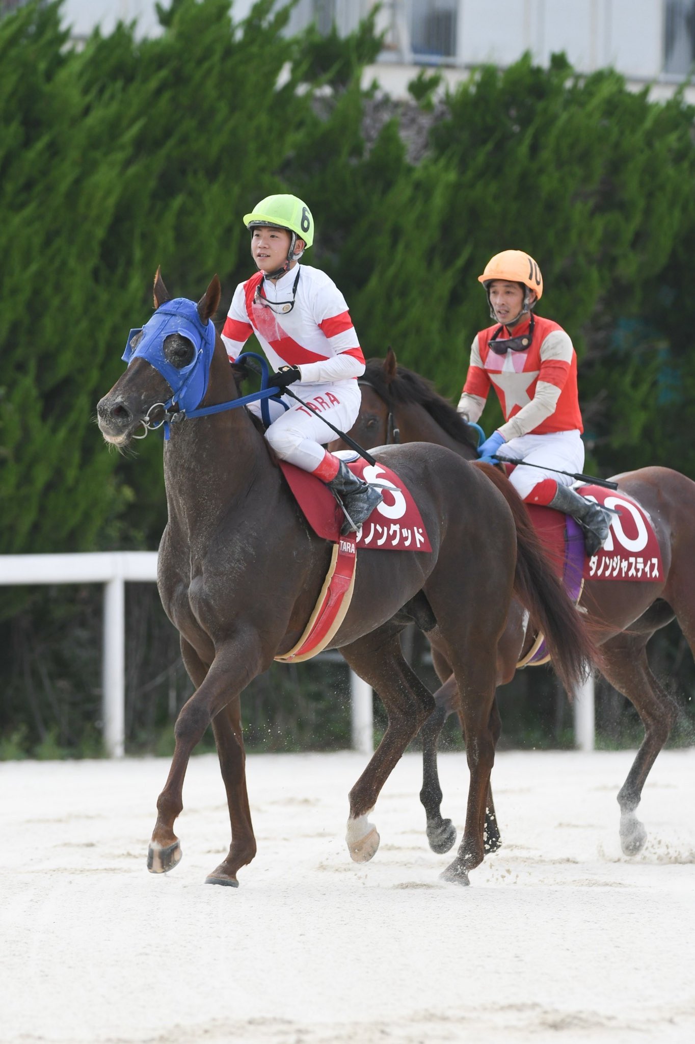地方競馬全国協会 Nar 公式 園田fcスプリント 1着はダノングッド 本日園田競馬場で行われた第12回園田fcスプリントは 多田羅誠也騎手 高知 騎乗で1番人気のダノングッド 牡10 高知 別府真司厩舎 が連覇 2着も同厩舎のダノンジャスティスで 高知ワンツー