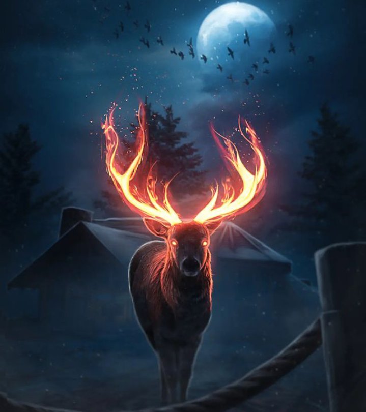 Edit Beast tweet media