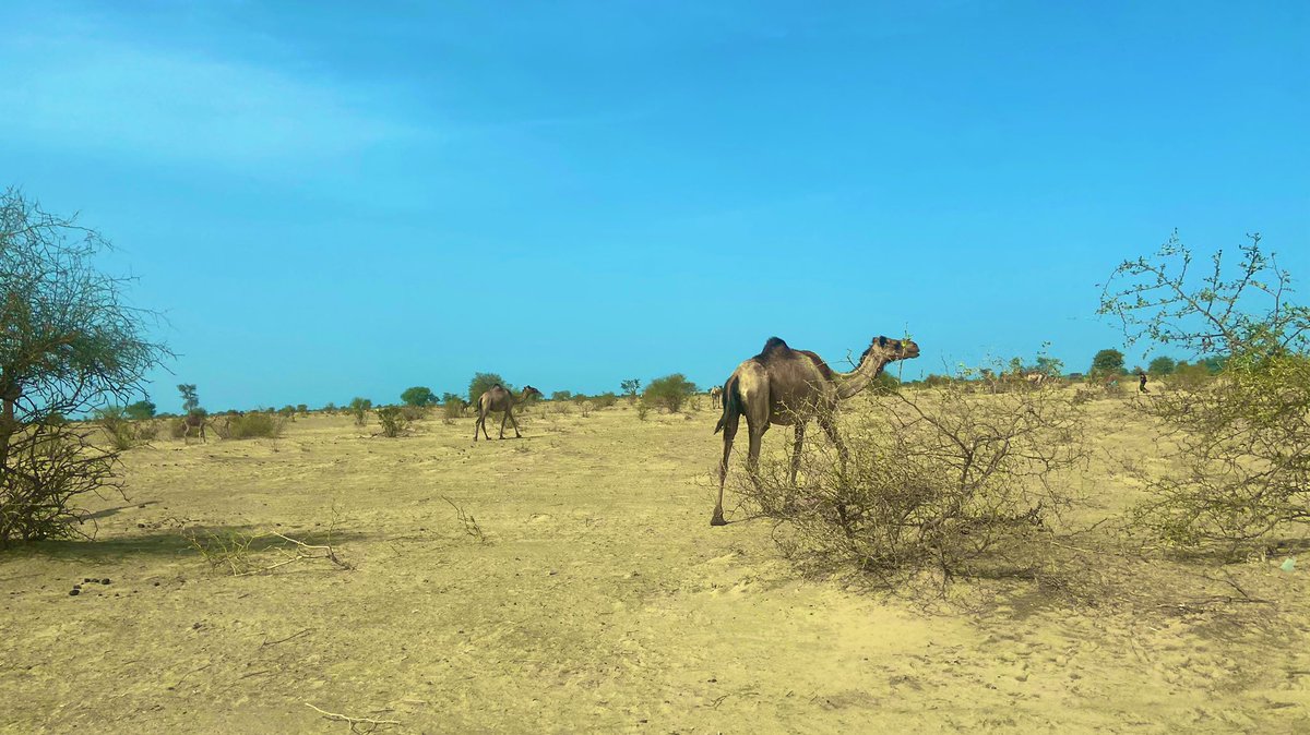 samy_writer235's tweet photo. Gérard Philippe
« Il doit bien exister au monde quelque chose, un lieu qui ne soit pas un rapport de force avec autrui ou soi-même…
La tendresse, peut être…»
#Tchad #Adjib #Proverve #Citation #Kebetu #Kibaro @mamadou @achrafpictures @fortius0 @Tiara_Habsa @gouwala https://t.co/c4uzGGf45W