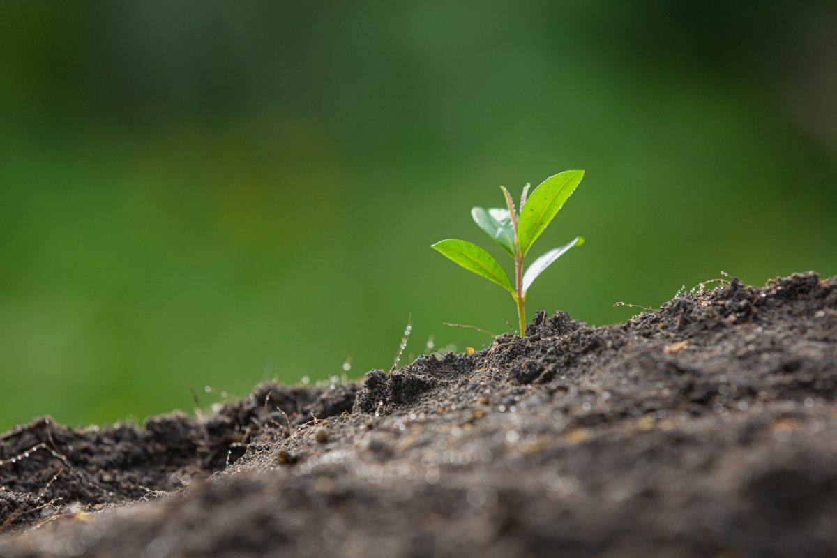 NovoNordiskES's tweet photo. Hemos adoptado una nueva estrategia ambiental con la que deseamos tener un cero impacto ambiental🌏Rediseñando nuestros productos para reducir residuos 🔜
#ImpulsadoElCambio a través de cero impacto medioambiental #Circular4Zero #Sostenibilidad
https://t.co/43kNUhEhaw https://t.co/BPHDHf22eg