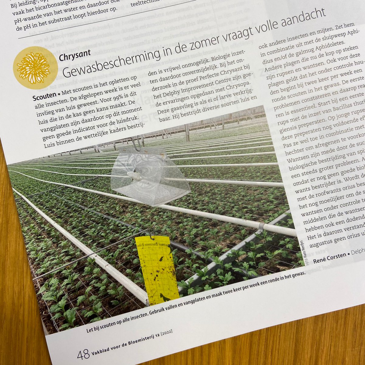 In Bloemisterij no. 12 lazen we een actuele teelttip van <a href="/DelphyNL/">DelphyNL</a>  adviseur René Corsten. Tijdig signaleren van plagen geeft meer mogelijkheden om ze goed aan te pakken! 

#biologischegewasbescherming #scouten #teelttip #samenwerken #partnerswithnature