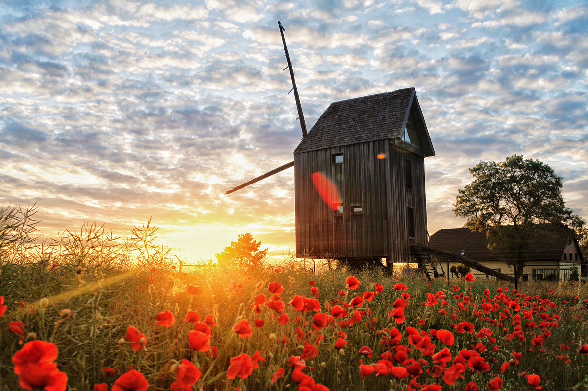 SwenJunge's tweet photo. Mühle in Mocherwitz https://t.co/F1OUsBcxuN