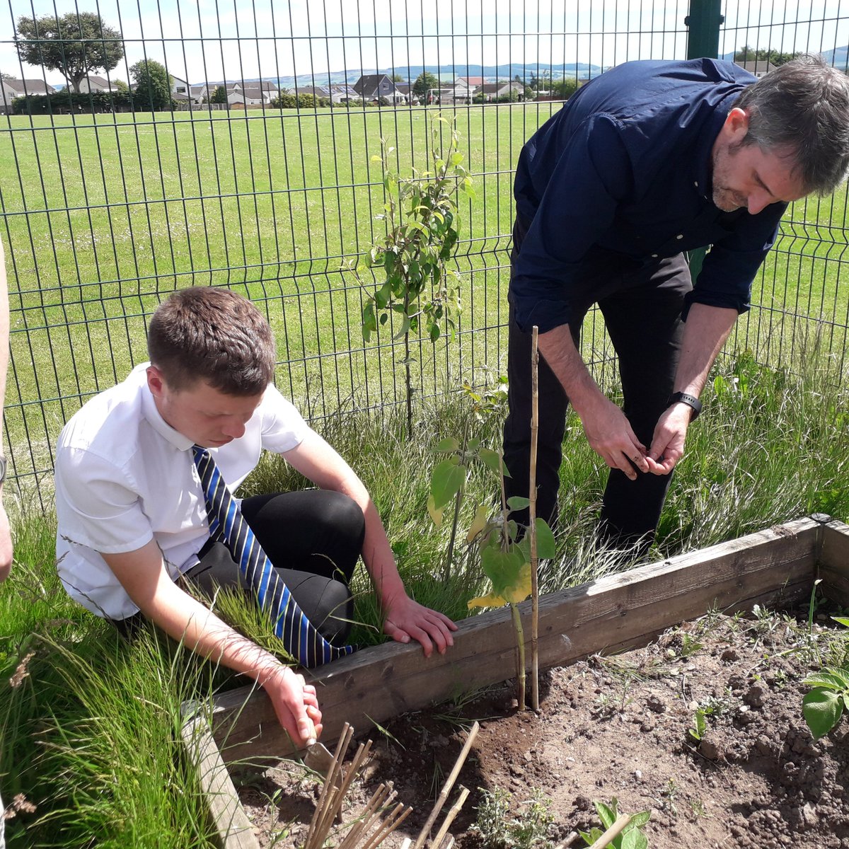 languagesatbhs's tweet photo. Today's Simple Act for #RefugeeWeek2022  was to plant sunflowers in the school garden and spider plants to give as gifts.  Research shows that gardening improves emotional wellbeing https://t.co/ziCK9IeRRC  so we saw the sun and headed to the garden. #SimpleActs https://t.co/jVooiOuKcr