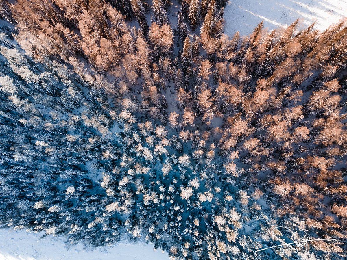 I'm eager to capture the beauty in front of my eyes all，Photography is my second language.