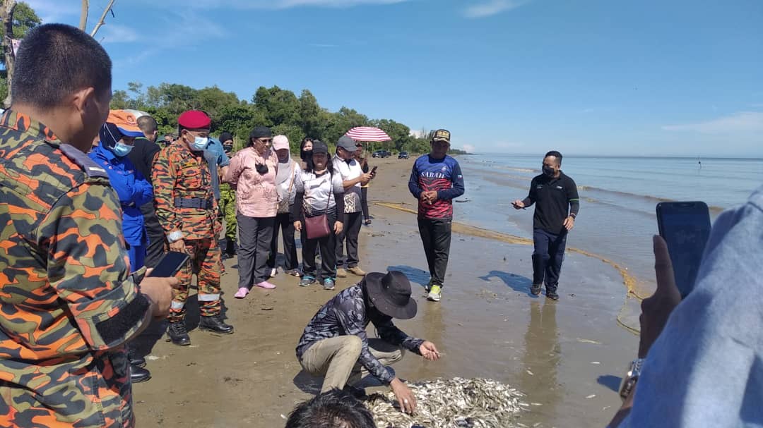 RELADAERAHMUKAH's tweet photo. 22 JUN 2022 (RABU)
Lawatan oleh YB Dato Hajjah Hanipah Hajar Taib ke Lot yang telah dibersihkan pada 18 jun 2022 (Program Pantaiku Sejahtera). Dengan adanya aktiviti seperti ini dapat menanam sikap cintakan alam sekitar.
#relamukah
#relamukah
#relamalaysia
#SetiaBerbakti https://t.co/zXdtD1d8pL