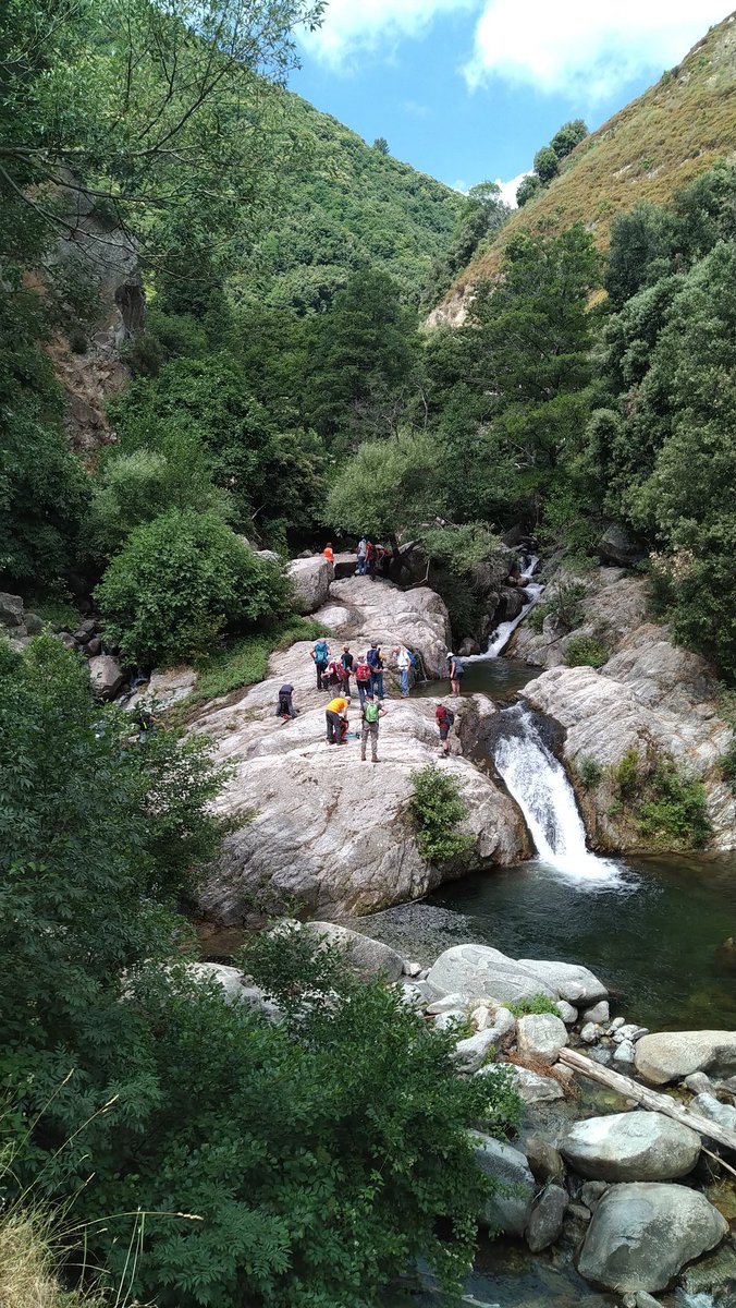 ClubAlpinoCz's tweet photo. Nel parco fluviale del torrente Vergari sui monti della Sila Piccola.
#Cai #SilaPiccola #Vergari https://t.co/SoEUC0pbNa