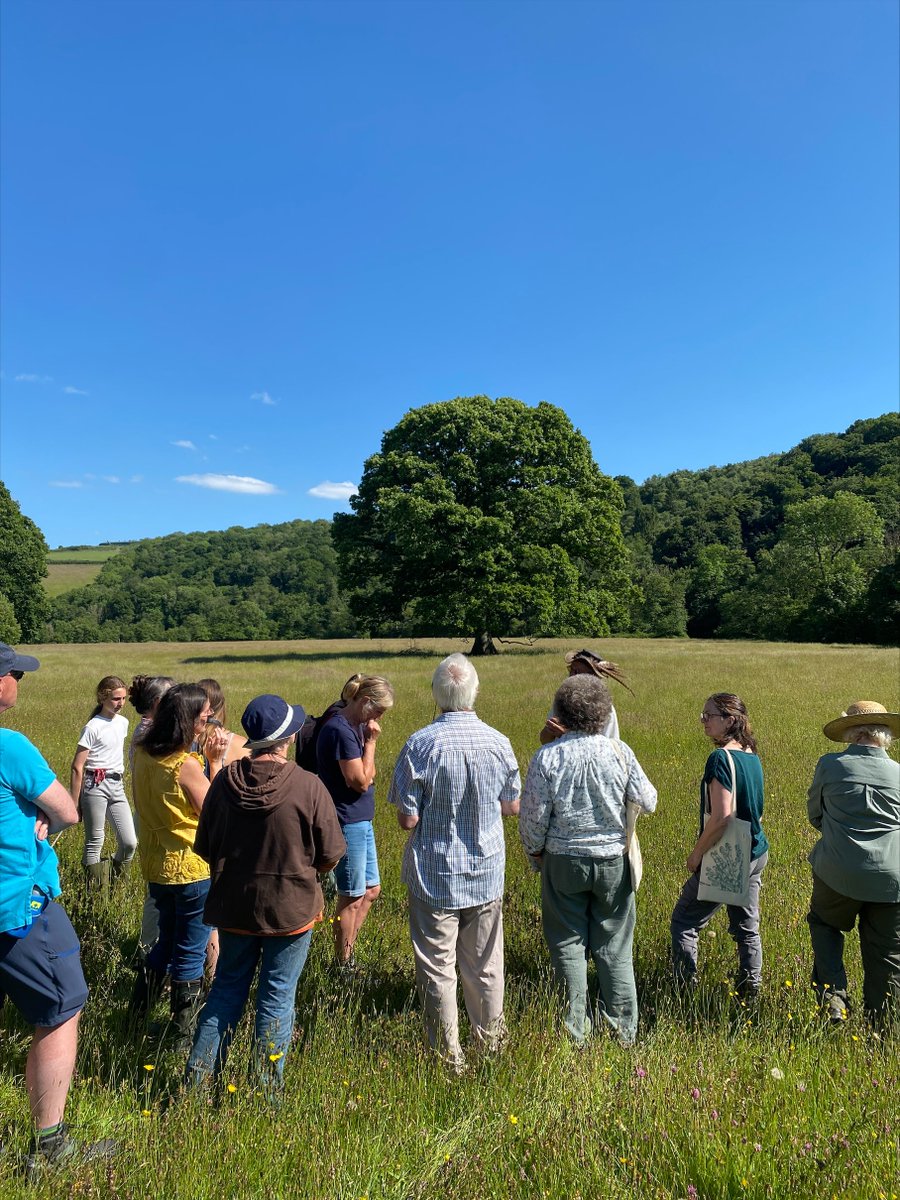 Wonderful afternoon last week on our wildflower identification and meadow management workshop! 
🌻🌸🐦🦋🌱 <a href="/NDevonBiosphere/">North Devon Biosphere</a>