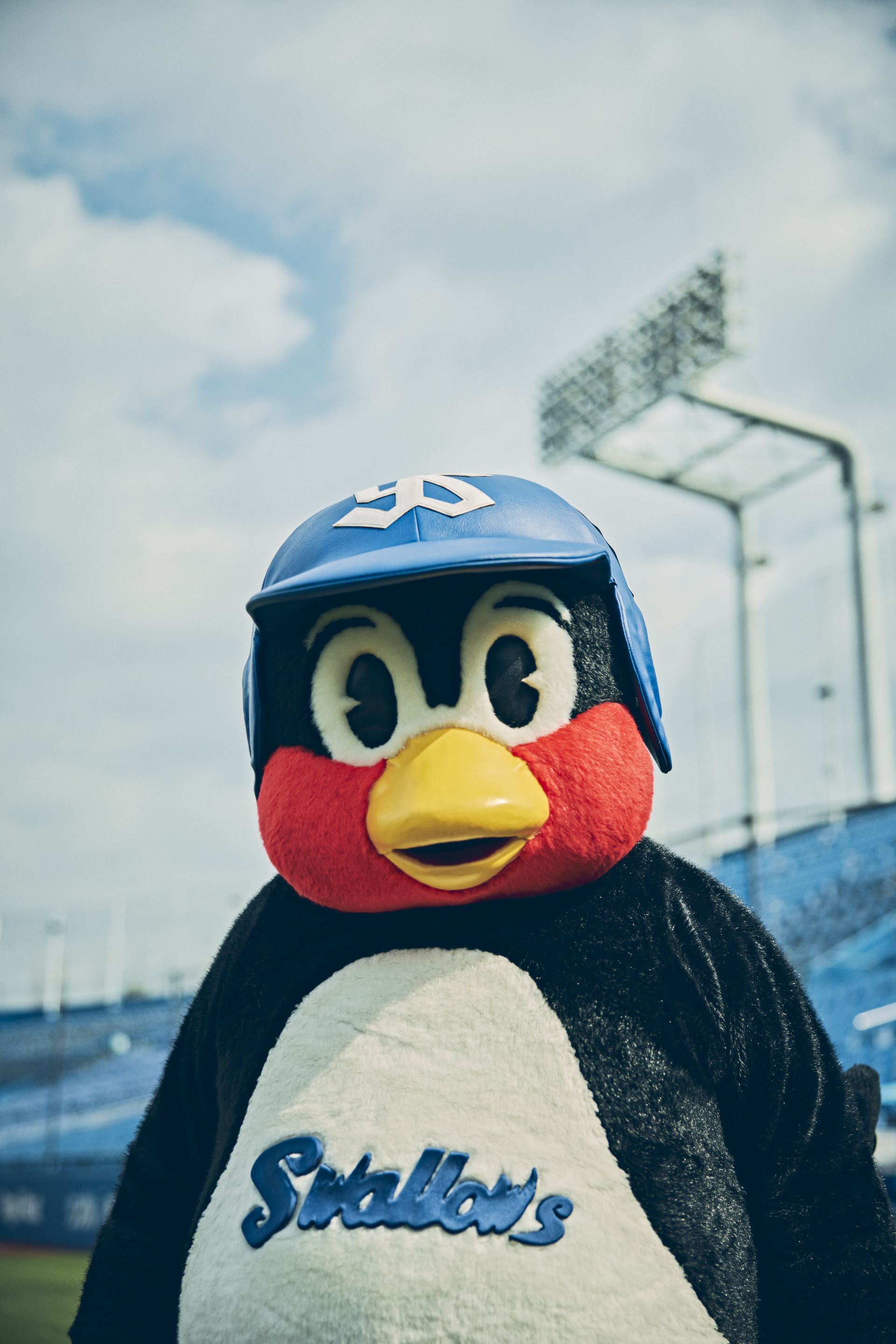 東京ヤクルトスワローズ公式 on X: 