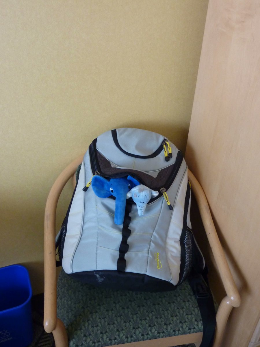 cube_solutions's tweet image. Time for a fun hike... although carrying 2 elephants might take its toll... #elephpant #werehiring #phpjobs