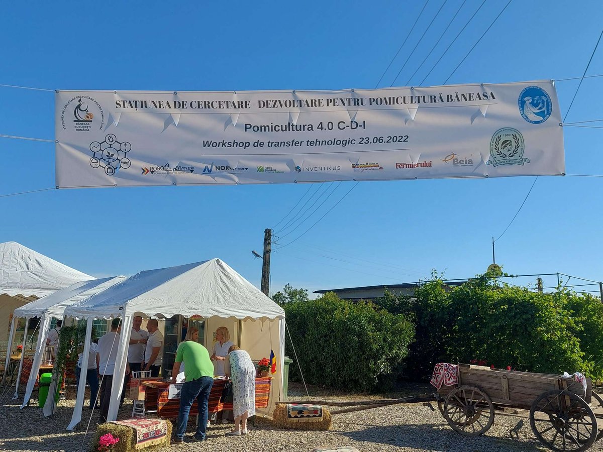 Beia Consult Int tweet media