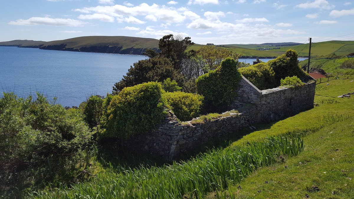 Nature reclaims..

#shetland #shetlandislands #visitshetland #Promoteshetland #visitscotland #hiddengems #nature #naturereclaims #landscapephotography #landscape #photooftheday #photography #trees #rurallife #wilderness #wild #derelict #ruins #crofthouse #views #beautiful #lands