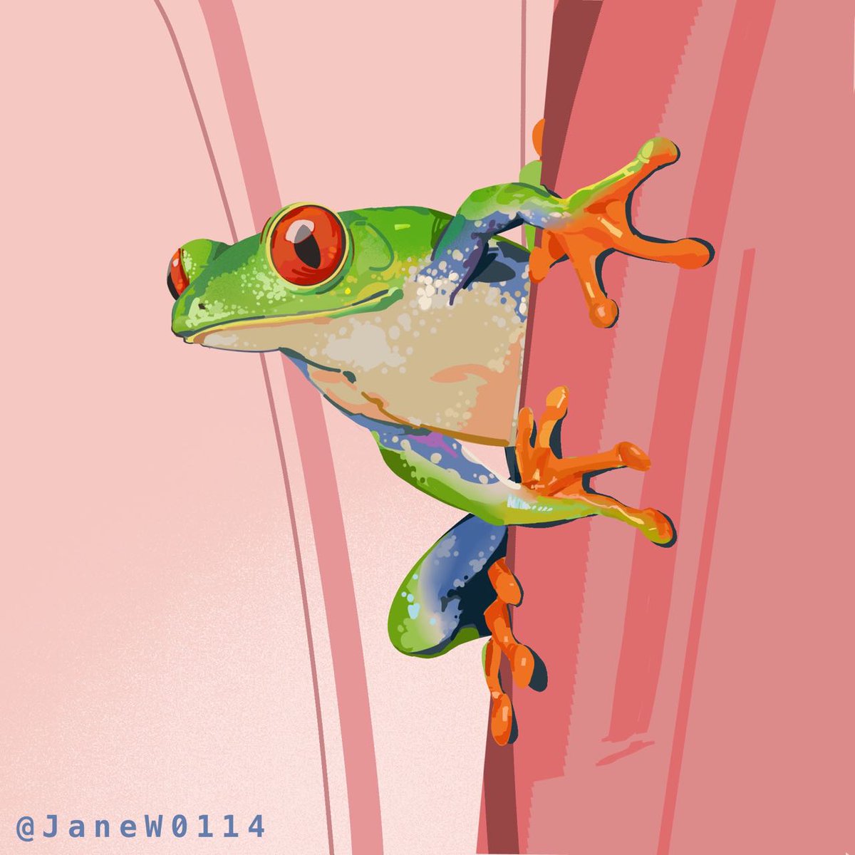 JaneW0114's tweet photo. doodle a cute tree frog https://t.co/oMXww09i4j