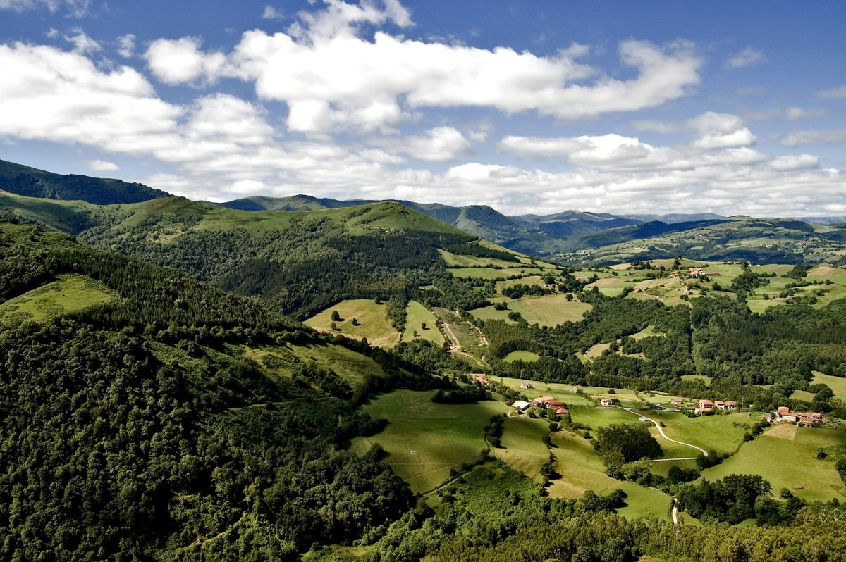 BittorOroz's tweet photo. 🌲 El sector #forestal-madera de #Euskadi es el principal generador de materia prima natural, renovable y base de la #bioeconomía circular. Con una gestión sostenible de los bosques contribuye a la estrategia #BasqueGreenDeal, reduciendo las emisiones de Gas de Efecto Invernadero https://t.co/YPfYLHDrDN