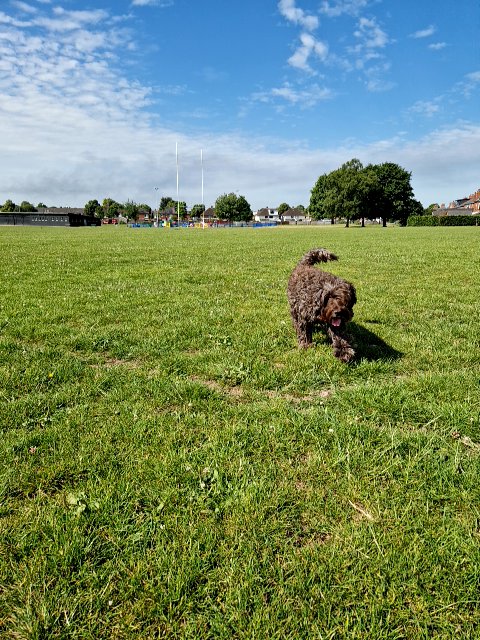 Chopra5 found #bitcoin in a User vault at this location! Join me playing #coinhuntworld, It's awesome! coinhunt.gsc.im/SmbmUy9U8V #cryptocurrency #130636