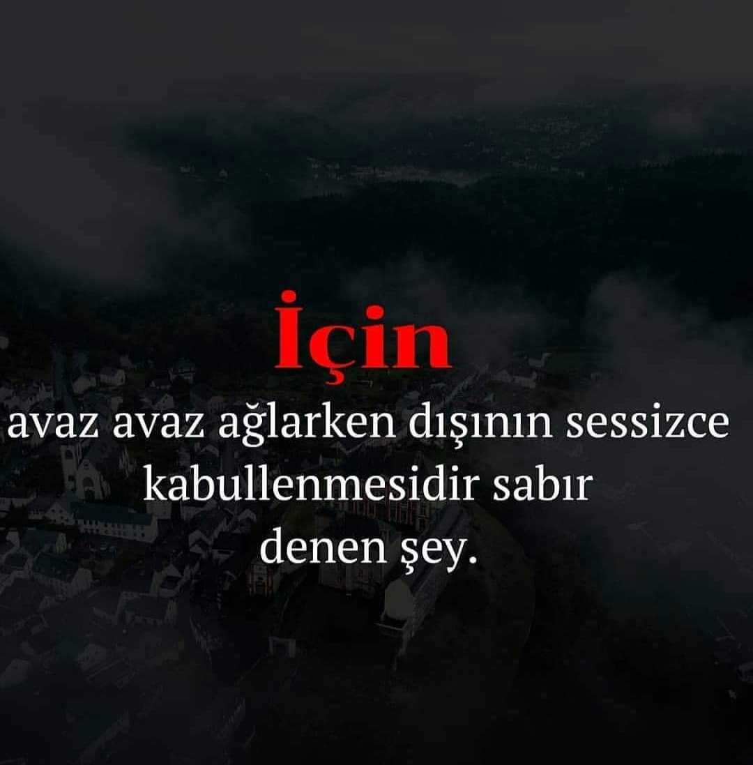 BadeBad58620802's tweet photo. Olgun ve dolgun aramak istersen.pisman olmazsin 🌹🌹🌹0539🌹419🌹22💋19💋 #eskisehir #eskisehirbağlar #eskisehirespark #eskisehirtepebası #eskisehiradalar #eskisehirodunpazari #eskisehireskort #eskisehirbayanpartner #eskisehirpartner https://t.co/3dhyHuKzvd