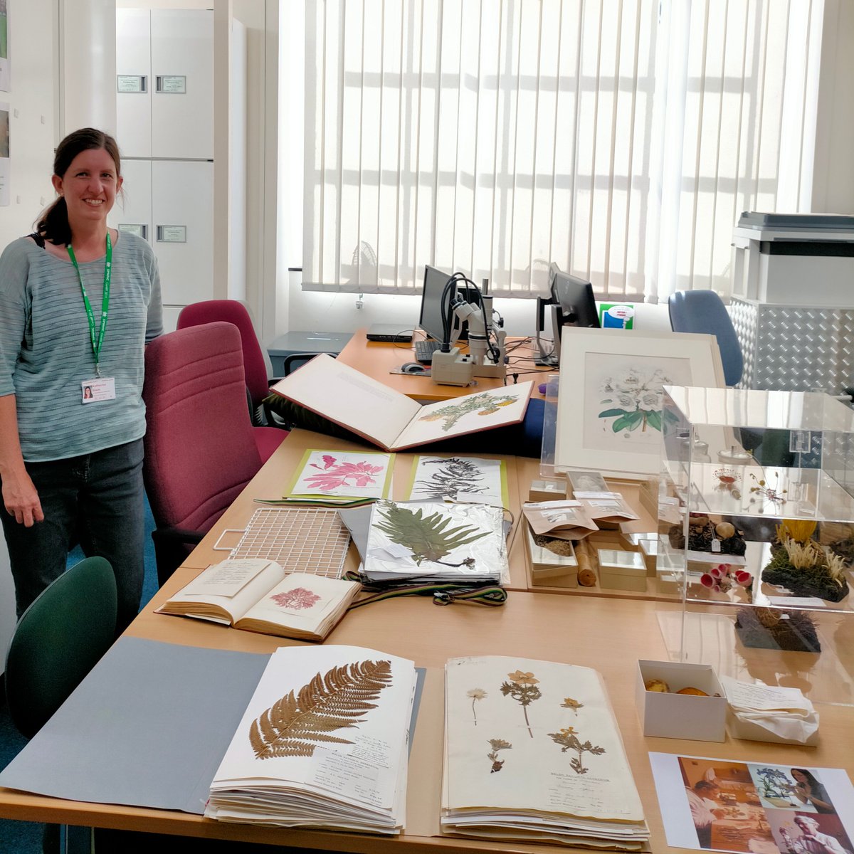 Botany collections at museums are made up of a great range of things relating to plants, algae and fungi. 
For a behind the scenes tour, curators <a href="/8thtree/">Katherine Slade</a> and <a href="/heather_pardoe/">Heather Pardoe</a> used models, illustrations, plant products, freeze-dried and pressed specimens. #botany