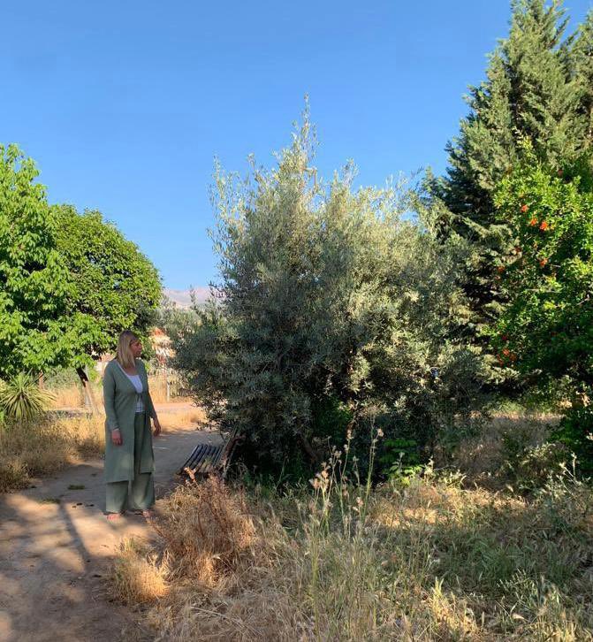 ppgranada photo