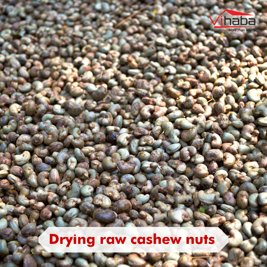 vihabavietnam's tweet photo. How many steps do raw cashew nuts go through to become cashew kernels?
#cashew #cashewnut #kernel #cashewkernel #rawcashew #import #export #market #agriculture #agribusiness #vietnam #vihaba https://t.co/uZ5HQ3kRZj
