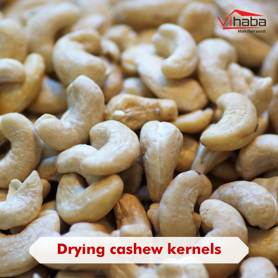 vihabavietnam's tweet photo. How many steps do raw cashew nuts go through to become cashew kernels?
#cashew #cashewnut #kernel #cashewkernel #rawcashew #import #export #market #agriculture #agribusiness #vietnam #vihaba https://t.co/uZ5HQ3kRZj
