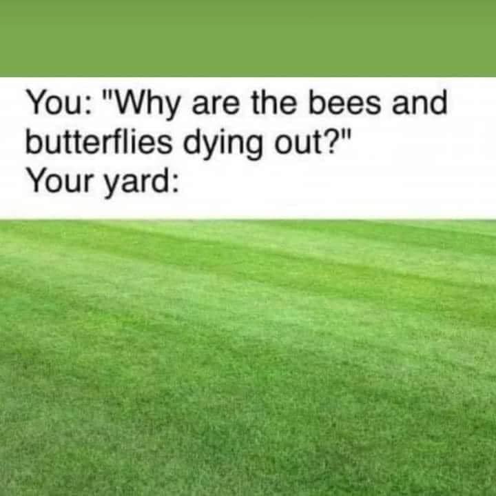 Windsor's Country tweet media