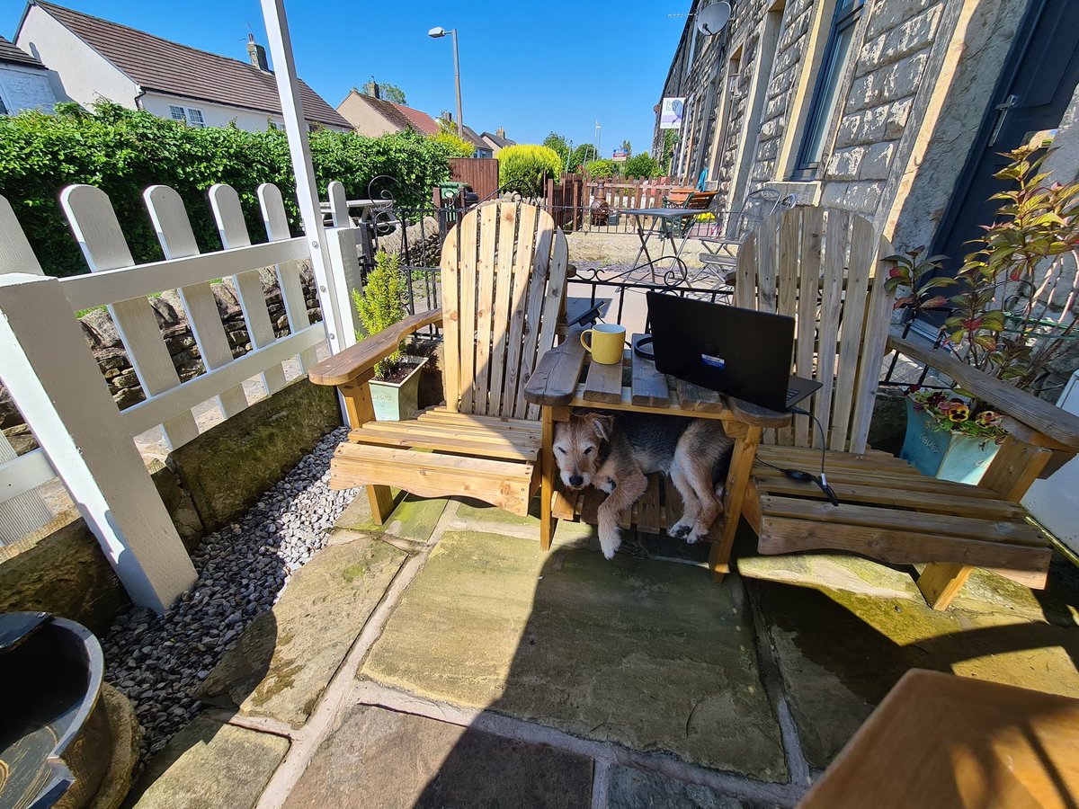 Sad that I couldn't make it in person today but enjoying sitting in the sun whilst I join #campdigital today. My crazy dog is in attendance too! Bring on the keynotes...🤩