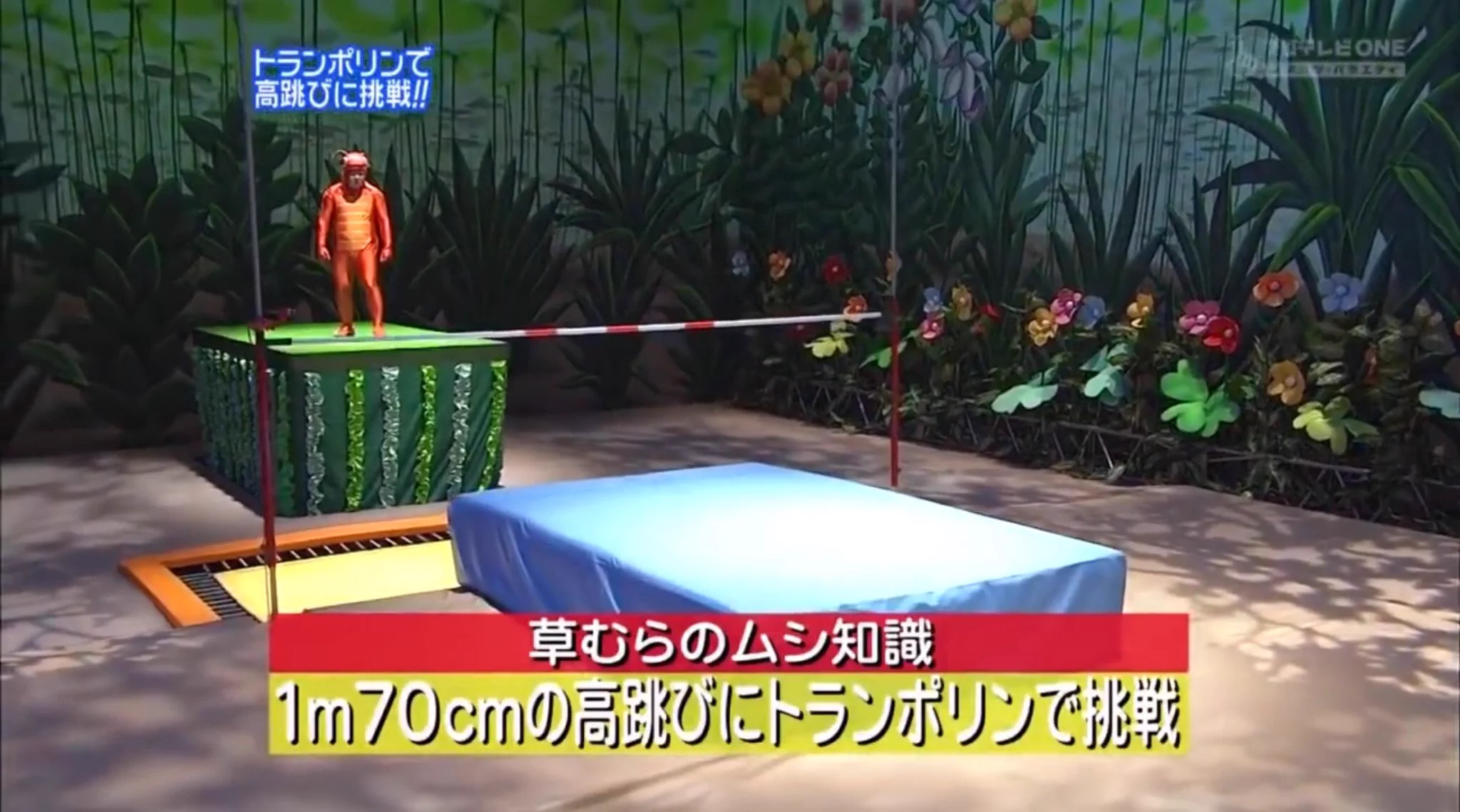 テレビっ子なら覚えてる！？はねるのトびら、また見たい番組。