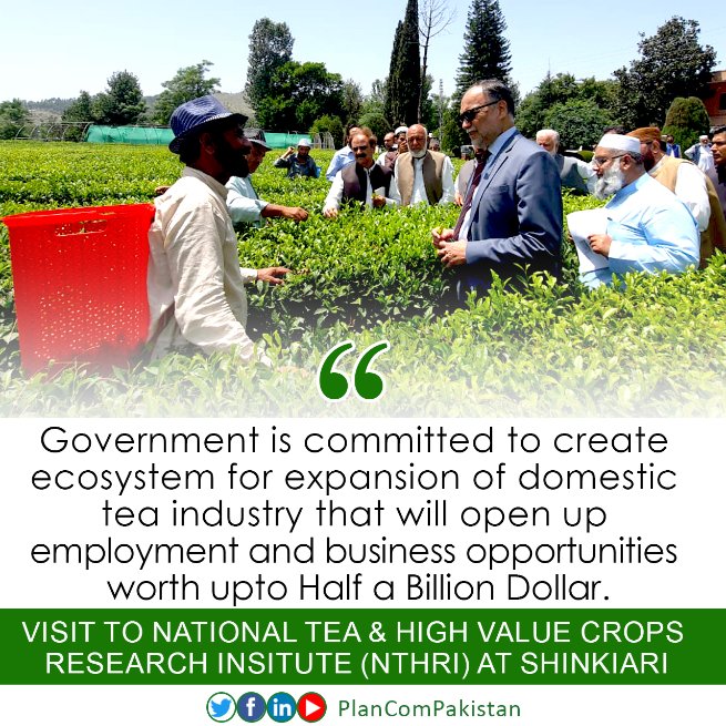 PlanComPakistan's tweet photo. While visiting National Tea & High Value Crops Research Institute (#NTHRI) at #Shinkiari, Minister Iqbal said that #Pakistan could not attract Foreign direct investment in the #TeaIndustry despite huge domestic demand and neither it has advanced on research & development https://t.co/XMtVTHjXlt