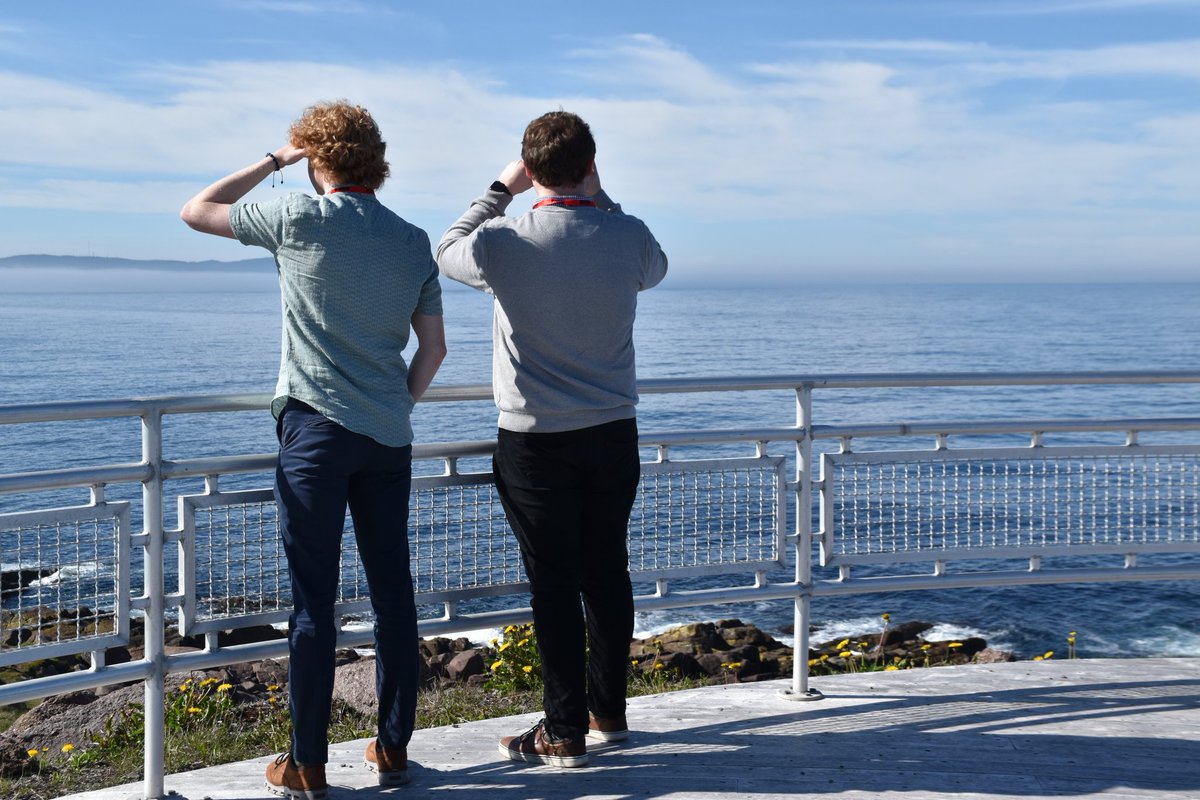 David Gill 🇨🇦 tweet media