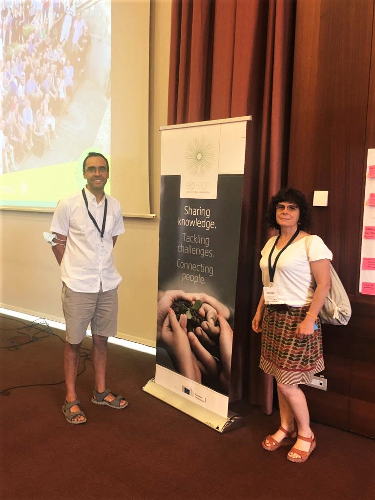 ExtensivoSecano's tweet photo. Llevamos #ECOSECANO 🌾al workshop internacional #conversiontoorganicfarming en la jornada de @EIPAGRI_SP con nuestros compañeros de @midra_i y @ObservatorioOCT https://t.co/pDnw4ODt4H