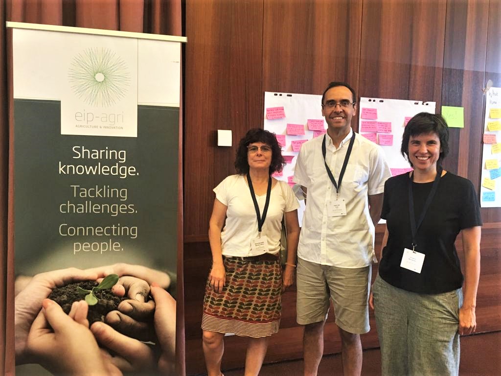 ExtensivoSecano's tweet photo. Llevamos #ECOSECANO 🌾al workshop internacional #conversiontoorganicfarming en la jornada de @EIPAGRI_SP con nuestros compañeros de @midra_i y @ObservatorioOCT https://t.co/pDnw4ODt4H