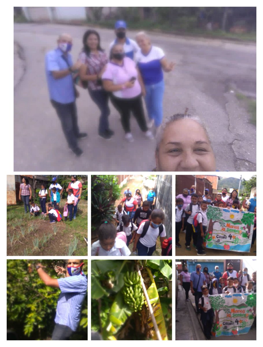 Ruta agroecologica circuito 4, con la visita de <a href="/ptmsribas/">Prof Gregorio Raymond</a> orientando este importante programa de nuestro sistema educativo. <a href="/maduro_en/">Nicolás Maduro</a> <a href="/Soykarinacarpio/">Karina Carpio</a> <a href="/juancarlospsuv/">Juan Carlos Sanchez</a> <a href="/yelitzePSUV_/">Yelitze Santaella</a> <a href="/leoalvacabrera/">Prof. Leonardo Alvarado</a> <a href="/MYovao120/">Yobany Marchena</a> @clifpmfribas <a href="/Aragua1Ze/">Ze_ Aragua1</a> <a href="/Evelynpadron5/">Evelyn padron</a>