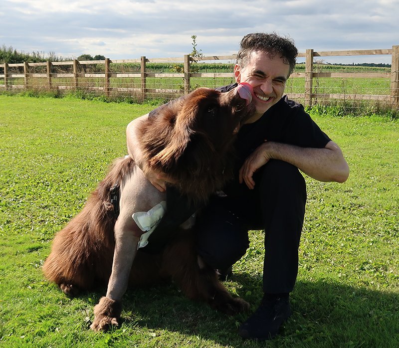 Noel Fitzpatrick tweet media