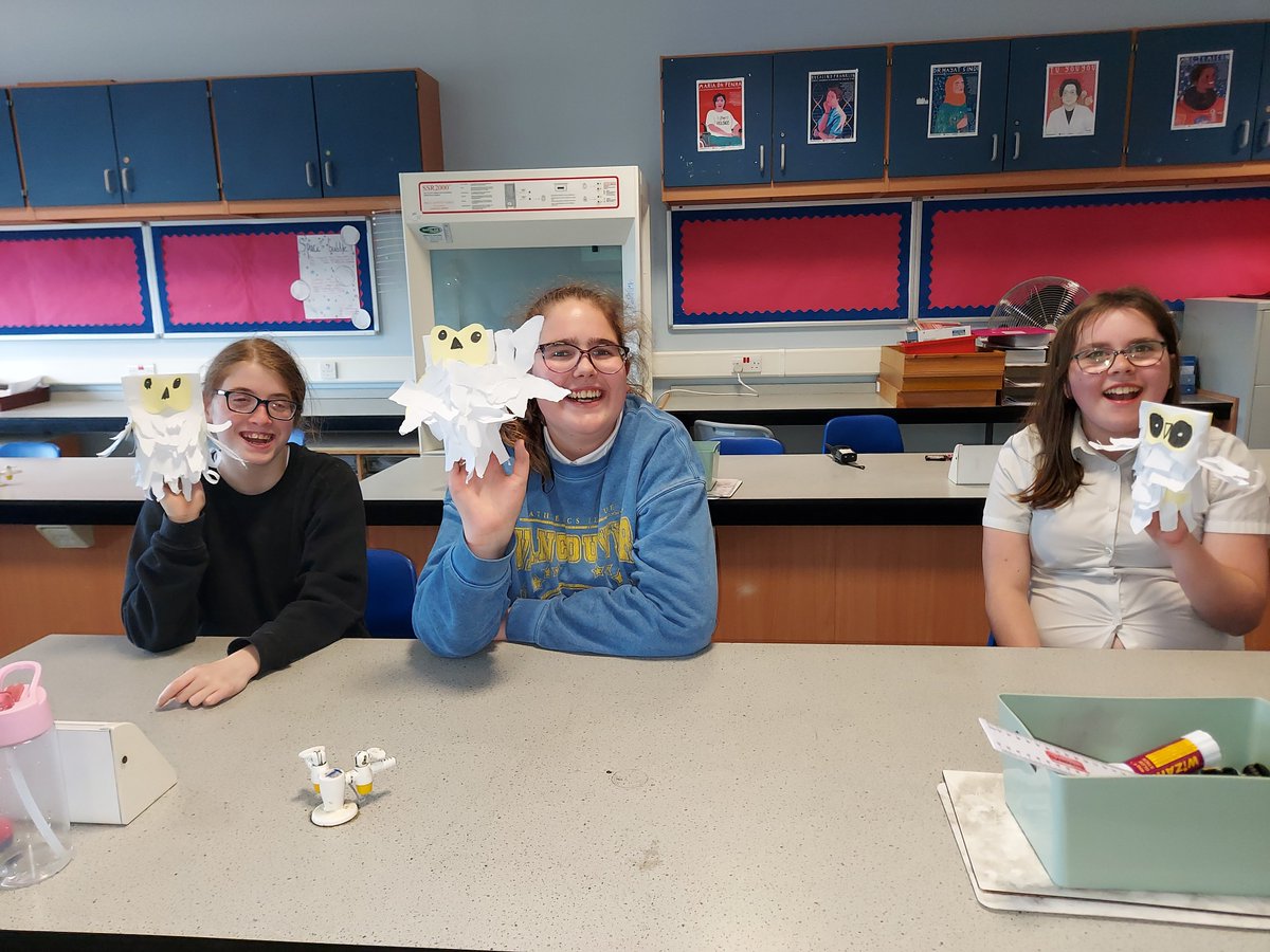 TheHiveDHS's tweet photo. During the past few weeks we have been learning about owls in science. We finished off by making our own owls! We plan on adding them to our Scottish Highlands display. Aren't they adorable? 🐝🦉 #thehive #dalkeithhighschool https://t.co/n3IVhXXTeK