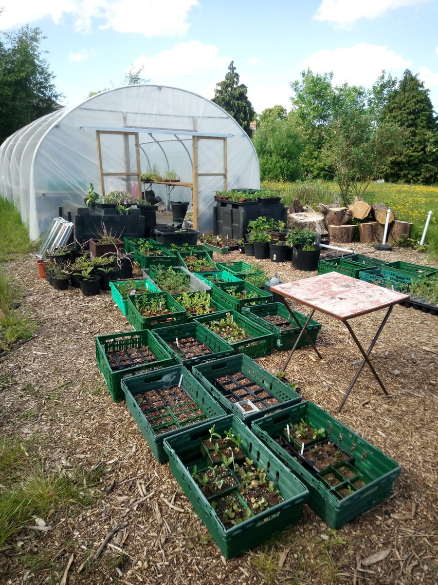TivoliGroupLtd's tweet photo. We were pleased to support @AvenueSexton last month with a donation of logs which are then sold on by the volunteers to generate funds to run the allotment &amp; buy necessary equipment💚 It is a wonderful initiative &amp; we hope our small donation will make a difference #community https://t.co/loXhdHEgtA