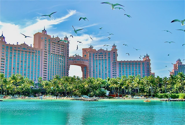 FUSDFinance's tweet photo. Sure, you can see Sun, Sand and Sea ‼️ 

BUT you could be looking at the new Crypto haven.

 The Bahamas aim to be the leading digital asset hub.

Wen $Koda Bahamas Expo 😜

#crypto #bahamas #cryptohub #hub #koda #expo https://t.co/PMW39cnT0r