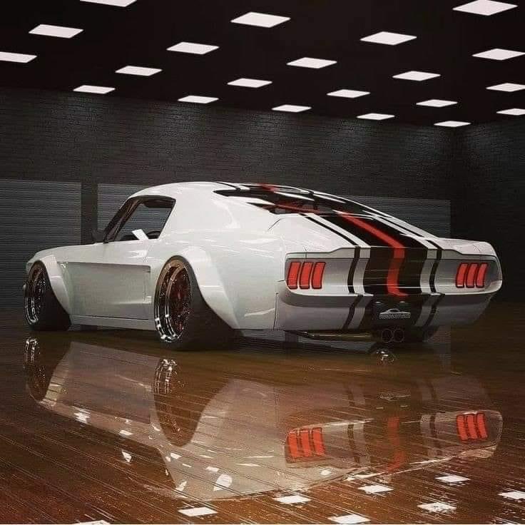 DinoKasamis's tweet image. Wow…gorgeous!