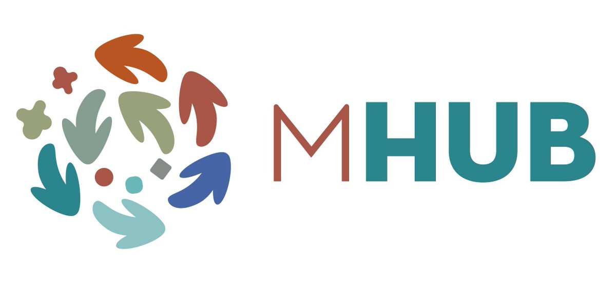 Mixed Migration Hub tweet media