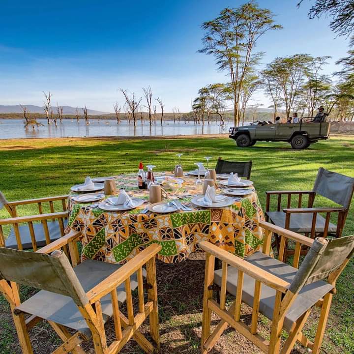 viba_explore's tweet photo. @AlisonAndalucia glad to see Kenya has made to #Top4Picnic for this week's #Top4Themes.
A safari picnic is am amazing experience. https://t.co/X1KSTW0GXR
