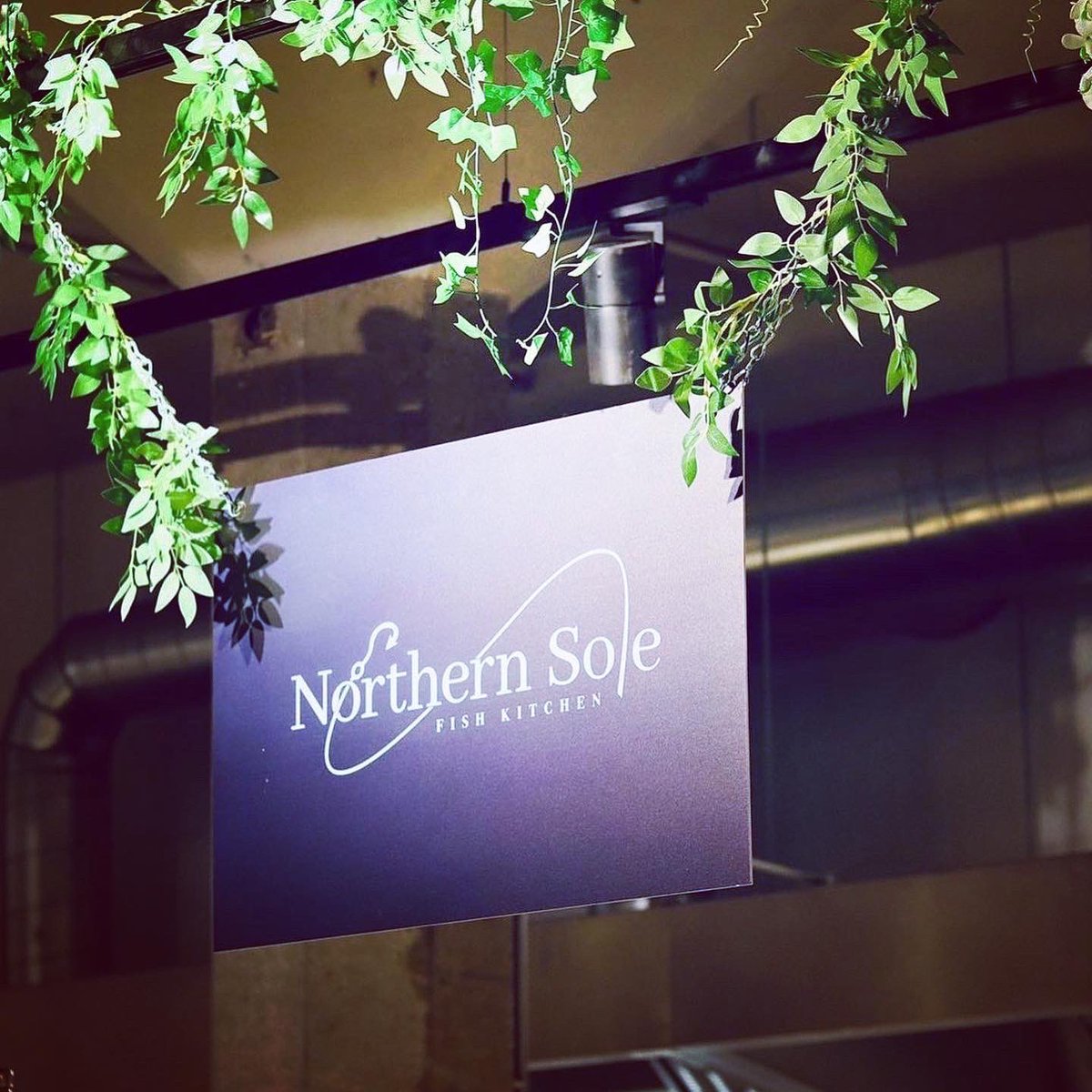 Northern Sole tweet media