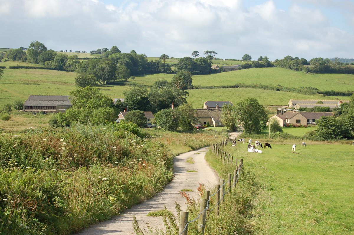 aroundaboutbrit's tweet photo. Set on a working farm, Bakers Mill Holiday Cottages boast a range of holiday homes. Whichever you choose to stay in, you will enjoy a fabulous getaway.
https://t.co/WVQBWukkxE
#Holiday #Family #Pets #WorkingFarm #Rural #Scenic #Wildlife #Stargazing #Mosterton #Beaminster #Dorset https://t.co/KXJbRCH3X6