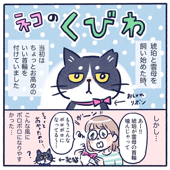 我が家の猫のくびわ事情(1/2)

#コミックエッセイ #エッセイ漫画
#猫漫画 #くもやの猫まんが 
