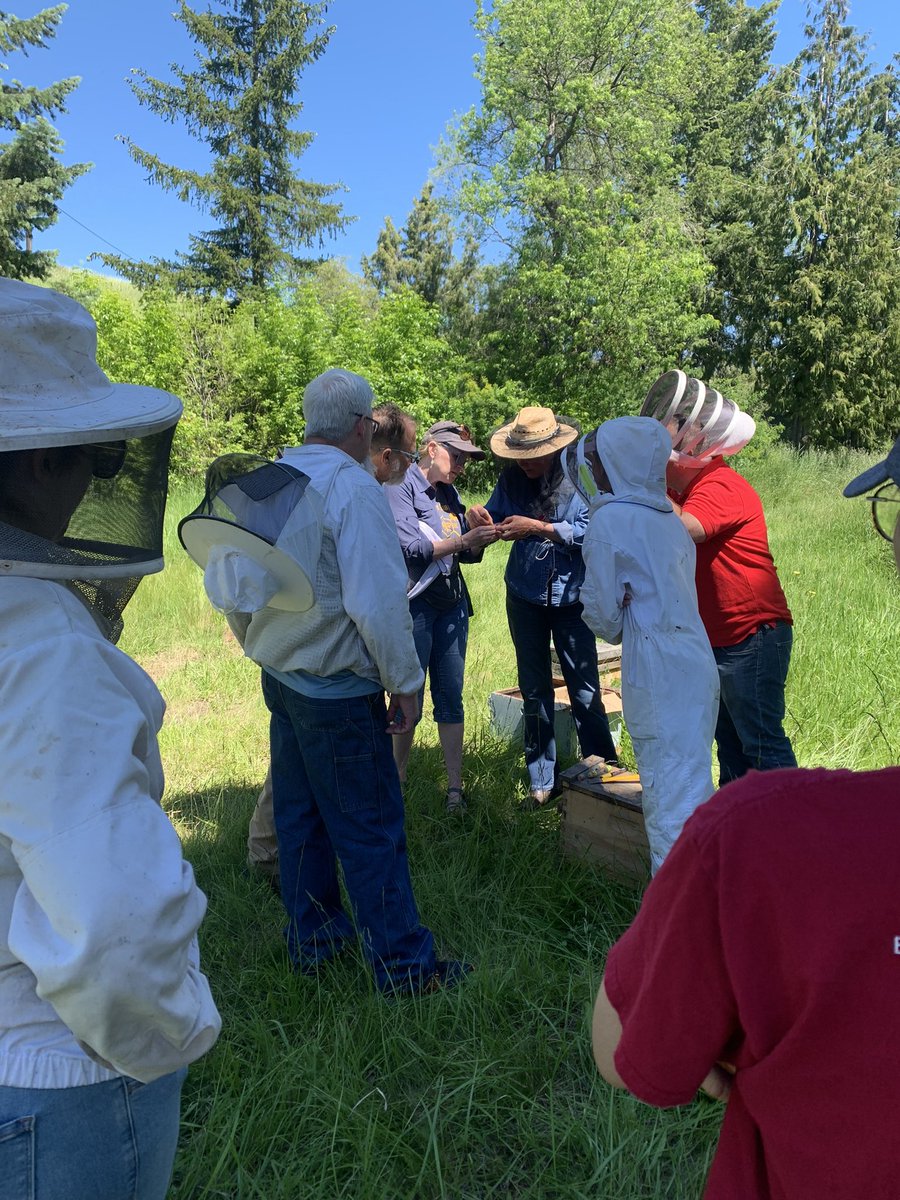 Instructor Susan Cobey demonstrates a method to evaluate queen quality during  the field portion of the 2022 WSU Queen Rearing and Bee Breeding Workshop.  Participants are primarily beekeepers interested in producing queens selected for their own local conditions. #wsuentomology