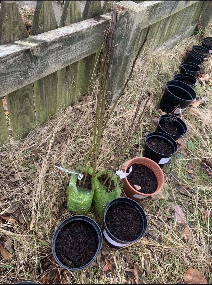 Missjohnsonhist's tweet photo. A huge well done to our WA classes who have worked extremely hard to achieve the John Muir Award for Discovery.
Pupils have used a variety of skills to transform the schools outside space into a Reflection Garden and what will eventually be an outdoor classroom #JohnMuirProject https://t.co/DHFuz3Cfbg