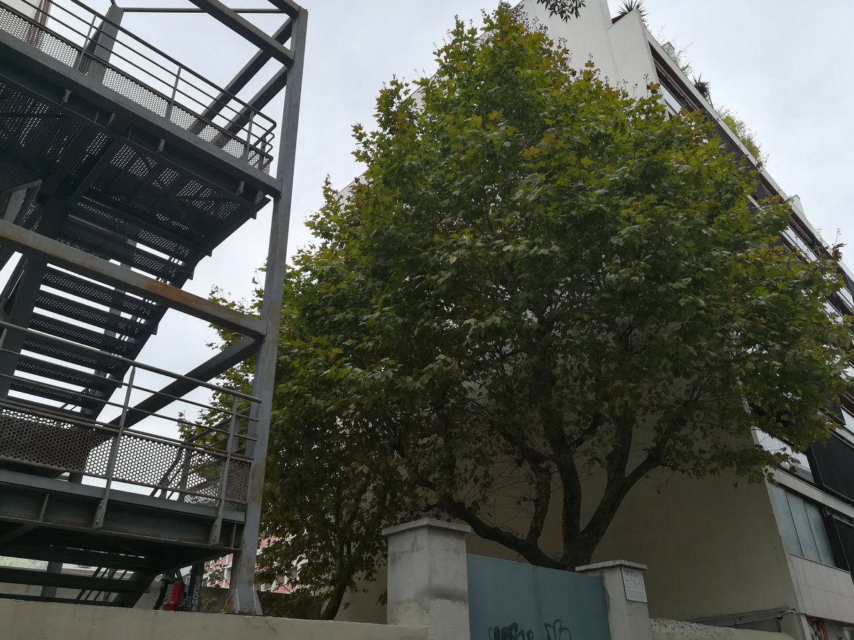 euromedhabitant's tweet photo. 🏗️🌳Allez, goodbye pour de bon 👋 https://t.co/dS9OJgR2po