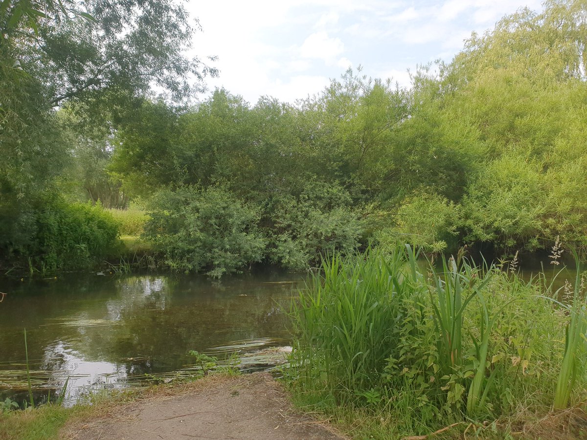 Having coffee and cake by the river @TaverhamMill. Beautiful..