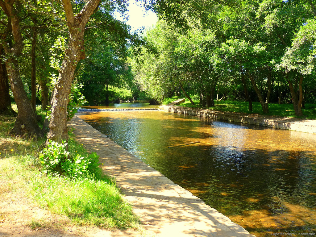 Este #verano las noches en #LaCodosera son #alfresco 🌜🌛

planvex.es/web/2022/06/co…

#Badajoz #LaRaya #VE_Extremadura #planesExtremadura #turismorural #lomejor está #enelinterior #Destinos #Extremadura #Verano2022 #piscina #naturaleza