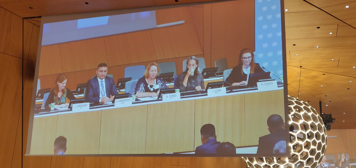 alexis_laff's tweet photo. At 25th Int'l Mine Action mtg #NDMUN25, @UNDP @UNMAS &amp; partners stressed the central role of #MineAction in the nexus btw peace, humanitarian response, stabilisation &amp; development;
and how social, eco &amp; environment considerations should be included in the spectrum of mine action. https://t.co/0hP8l7uNat