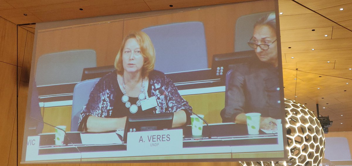 alexis_laff's tweet photo. At 25th Int'l Mine Action mtg #NDMUN25, @UNDP @UNMAS &amp; partners stressed the central role of #MineAction in the nexus btw peace, humanitarian response, stabilisation &amp; development;
and how social, eco &amp; environment considerations should be included in the spectrum of mine action. https://t.co/0hP8l7uNat