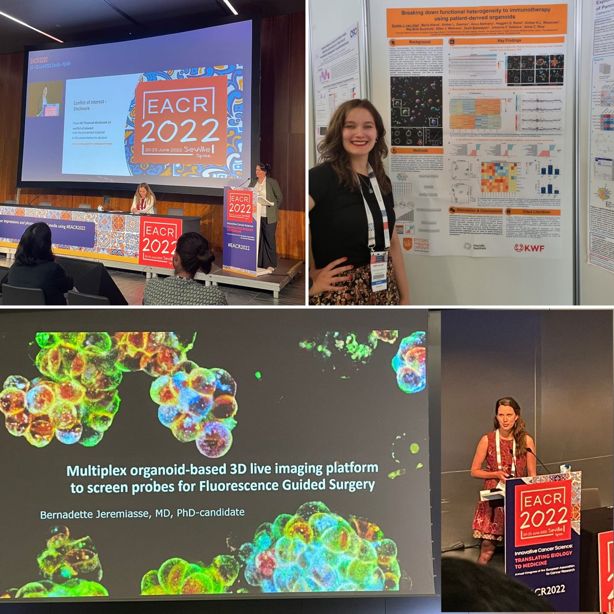 Dream3D Lab (@dream3dlab) on Twitter photo Our latest works were showcased at the #EACR2022 in Seville, with fantastic talks by Maria Alieva and Bernadette Jeremiasse and a great poster by <a href="/esmeevvliet/">Esmée van Vliet</a>. Amazing to be back to in-person meetings 👏 Our latest works were showcased at the #EACR2022 in Seville, with fantastic talks by Maria Alieva and Bernadette Jeremiasse and a great poster by <a href="/esmeevvliet/">Esmée van Vliet</a>. Amazing to be back to in-person meetings 👏